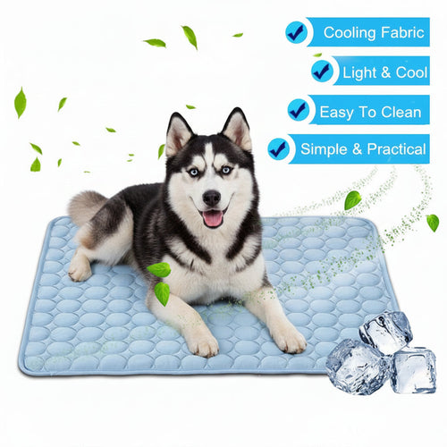 Wagivo Beat the Heat Bundle with cooling mat, water bottle and travel bowl for hot weather