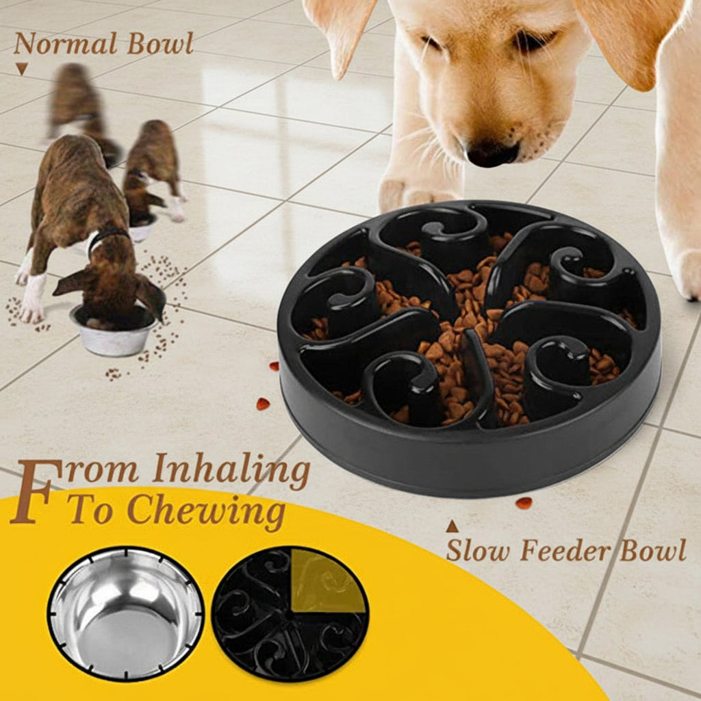 Wagivo anti-gulping dog bowl size and capacity shown with measuring cup