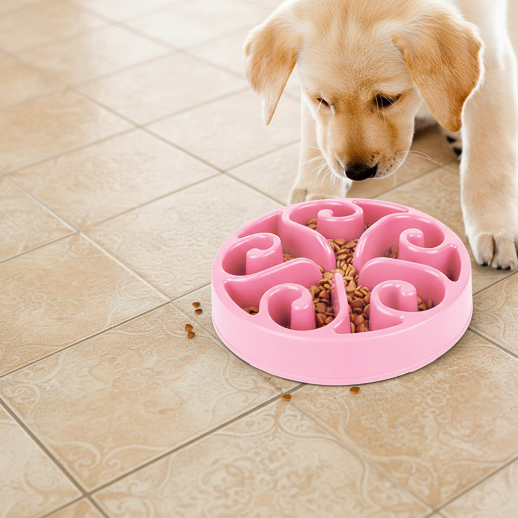 Wagivo slow feeder dog bowl reducing bloating shown next to vet guide
