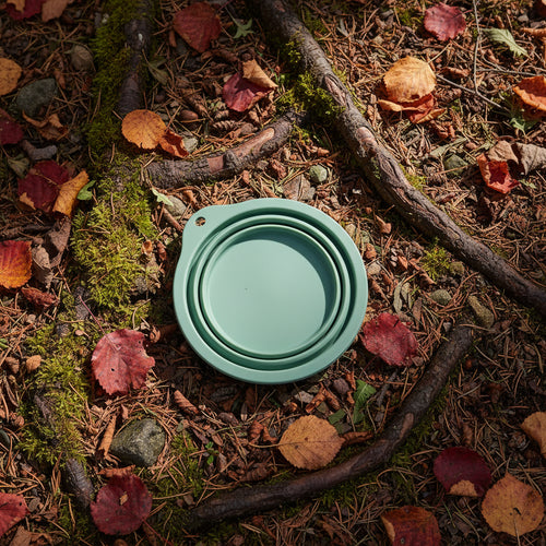 Wagivo portable silicone dog bowl expanded showing 350ml capacity