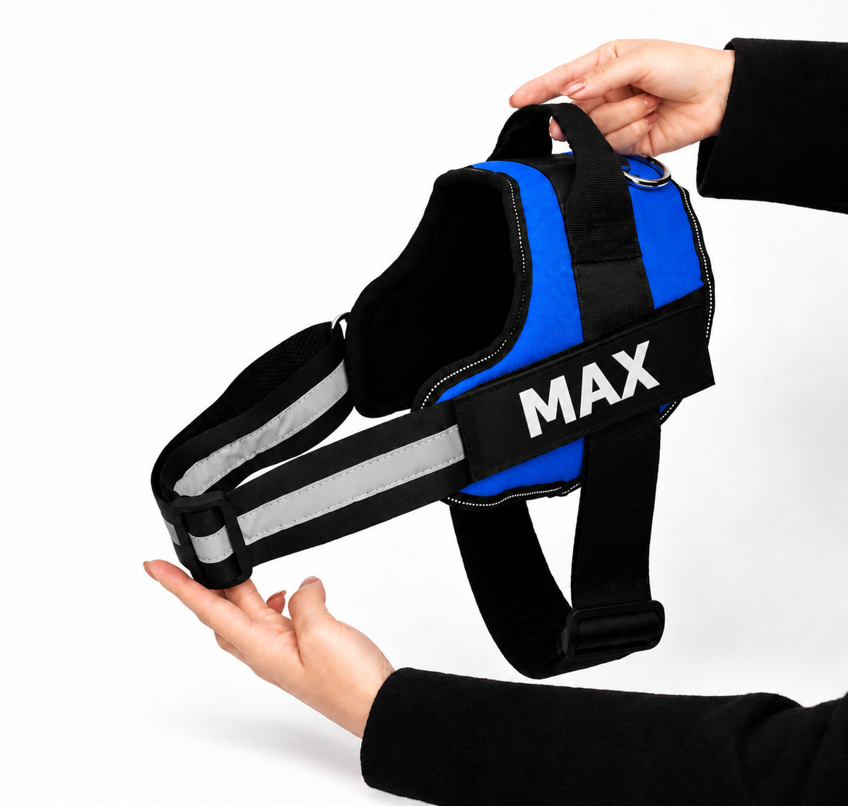 Wagivo personalized dog harness in blue with MAX printed on the name patch