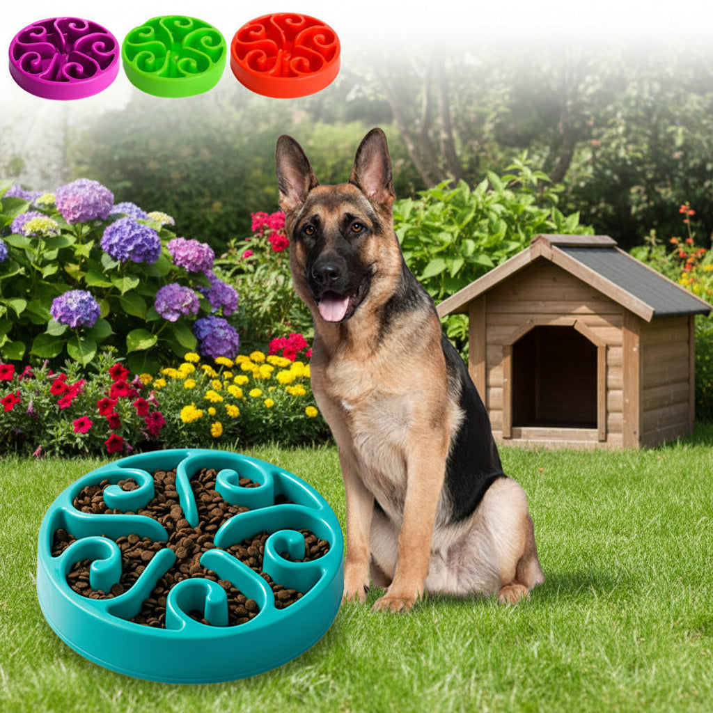 Dog eating from Wagivo slow feeder bowl 10x slower than standard bowl