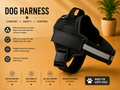 Puppy Starter Kit — Harness + Slow Feeder Bowl + Grooming Comb