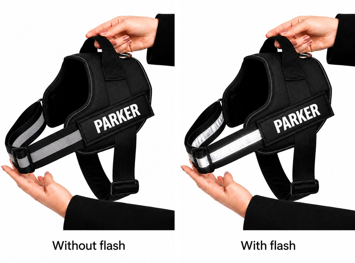 Illustration of the reflective strip on the Wagivo harness, without flash and with flash